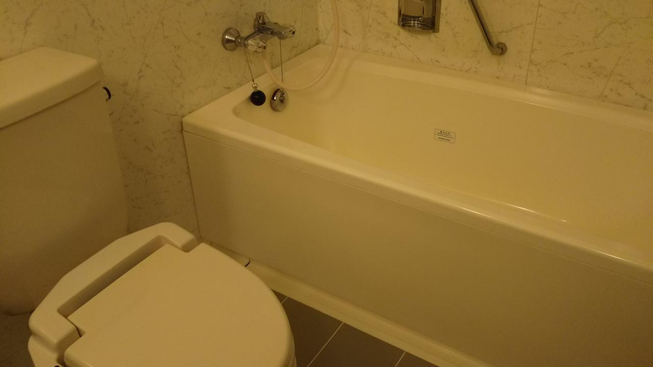 Hotel Hitachi Hills Pokoj fotografie
